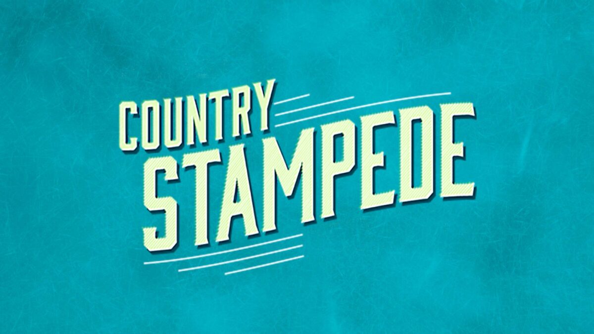 Crowd enjoying live country music at the Country Stampede festival at Azura Amphitheater.