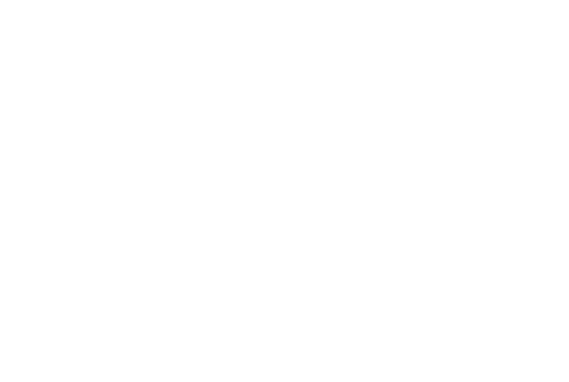 Things to Do in Kansas City is a business division of Zenith Marketing Agency LLC.